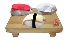 (影)飼主隆重推出「毛茸茸壽司」系列　網友：今晚要吃哪一道？