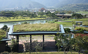 遊船夜航享受靜謐氛圍！冬山河生態綠舟首度開放夜間入園