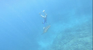 小琉球又現海龜騷擾案件！海巡署循線逮人移送法辦