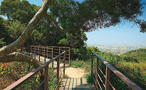 跟著寶寶漫步參山 20萬好禮等你來拿抽獎