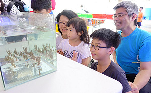 今夏最夯！  新北市海洋資源復育園區珊瑚小學堂7/3開放報名