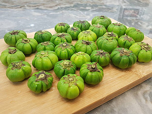 新北原民農產拓售7/4、5樹林登場，馬告產品為主題