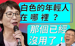蔡壁如嫌年輕人愛跟風  洪申翰嘲諷：新陳代謝太快？