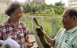 防疫不能出門？國健署六招教長者在家「坐著」運動