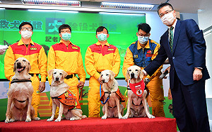 通過MRT認證  徐國勇為6隻搜救犬授階 最高2線1