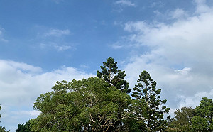 雙北等6縣市高溫上看36°C！北部至東部留意午後大雨