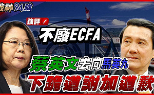 痛批綠營愛罵又愛用ECFA  羅智強:蔡英文要向馬英九下跪道歉