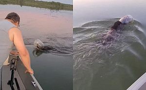 (影)湖上驚現毛怪頭卡塑膠桶掙扎　全家見牠掙扎喘氣急搶救