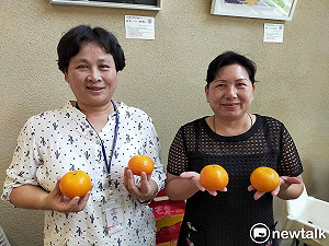 疫情衝擊茂谷柑外銷仍逆勢成長  盧秀燕感謝沈百合等有功人員