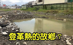 登革市? 鳳山車站成為孑孓故鄉 網酸：「光復高雄！再復登革熱」