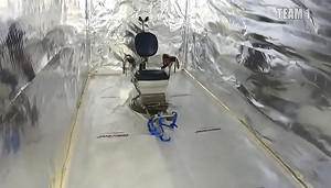 荷蘭運輸貨櫃竟成刑求場所？ 現場還有利剪、鋸子、解剖刀