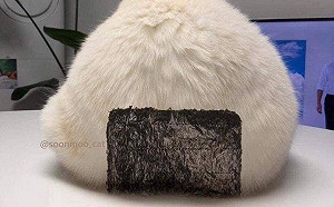 見桌上毛茸茸飯糰正想偷戳　突冒出一顆頭：罐罐交粗乃唷！