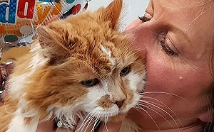 高齡老貓相當於人類150歲　以最心碎方式向馬麻道別