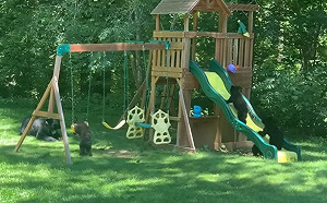 母熊帶5小熊霸佔人類的遊樂場　屁孩爭搶滑梯：偶先玩啦！