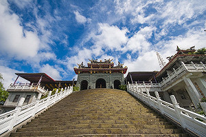 一秒到日本！北市指南宮秘密參道滿植高聳百年竹柏