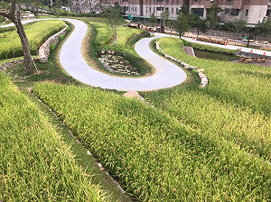 桃園新景點！全國首座梯田公園串聯城市山林生態廊道