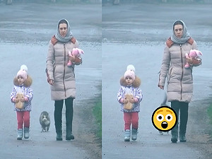 (影)貓咪與母女散步　走到一半突然做一舉動網驚：忍者貓4你？