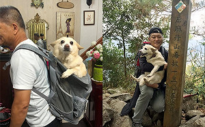 主人揹起萌臉奶油老犬　感性承諾：帶你一起征服小百岳！