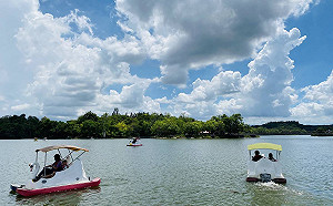門票大打折！台南虎頭埤8/31前持振興券入園享優惠