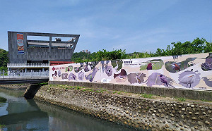 珍稀鳥類出沒！90種以上空中嬌客現身八斗子新賞鳥區