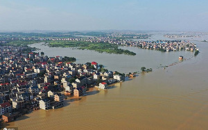 洪災、蝗災不斷擴大 中國官方竟稱：糧食豐收充足