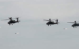 傳國防部高層不准「阿帕契長弓彩繪機」參演 陸軍航特部解釋：不符作戰實需