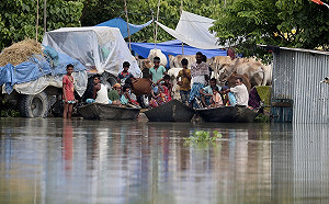 慘！印度疫情失控又遇洪災 百萬人湧入臨時庇護所