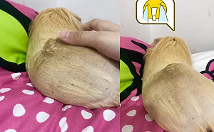 (影)被剃太短!「一坨地瓜」縮牆角背對馬麻嚶嚶啜泣:不跟你好了