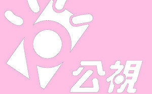 邵立中觀點》政府的與公共的