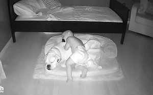 (影)嬰兒深夜偷擠大狗的床 不停蹭蹭撒嬌:人家害怕睡不著啦!