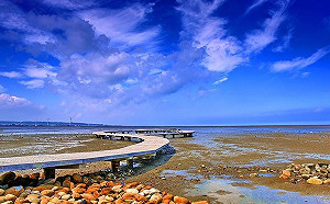 親摘玉蘭花！3深度小旅行挖掘新竹香山故事