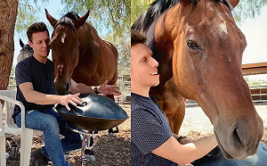 (影)空靈樂音配上男子超療癒美聲　馬兒如癡如醉反應令人融化！