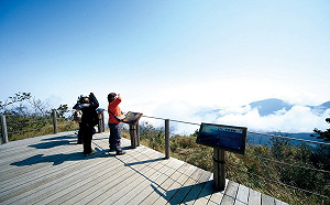 不開車也能暢遊太平山！遊樂區推接駁服務2人成行