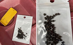 不只種子.....  美國喬治亞州居民還莫名收到來自中國的口罩與眼鏡