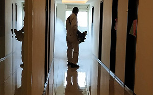 桃園爆登革熱社區感染  緊急快篩8人呈陽性