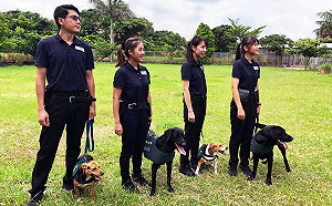 中國種子郵攻美27州？ 我超前部署2招攔不明包裹