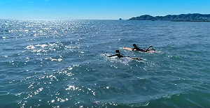 你抽到動滋券了嗎！身分證尾數4中籤率低原因竟然是這樣