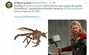 漫威鐵粉！澳科學家用死侍、索爾等角色替新物種命名