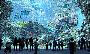 夏日避暑知性好去處！特搜全台4座特色水族館