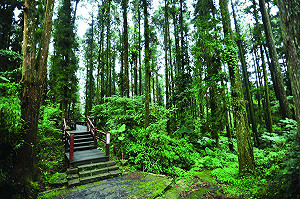 後疫時代》解封甩肉  嘉縣推台18線「腹愁者步道聯盟」