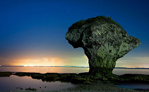 台灣好行新路線！大鵬灣琉球線8月底試營運