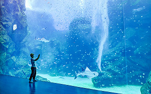 Xpark水族館搶先看！13區海洋世界超詳盡介紹