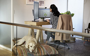 在家上班多省錢?日媒調查:替公司減少7兆日圓開銷