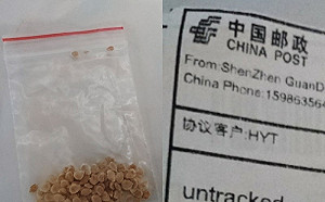 入侵美加台還不夠 日本民眾也收到中國可疑種子包裹