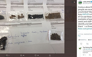 中國不明種子狂寄多國！部分品種揭曉 疑似「被處理過」恐損害作物