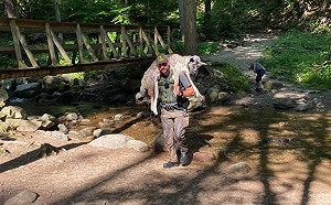 大狗跟隨主人爬山突中暑倒地　巡山員帥氣一肩扛起救下山