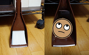 鼠寶失蹤全家都要翻遍飼主快急哭　正要打掃卻眼淚全乾！