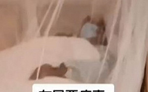 中國「新型布尼亞病毒」疫情捲土重來 病患家屬：比武漢肺炎還厲害