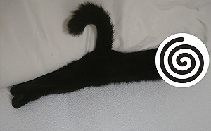 床上出現「間諜衣架」 超強偽裝貓出現了！