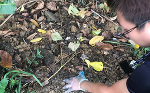 非法掩埋廢魚肉惡臭沖天  新北環保局蒐證法辦